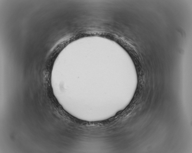 X0000112521351200909281008