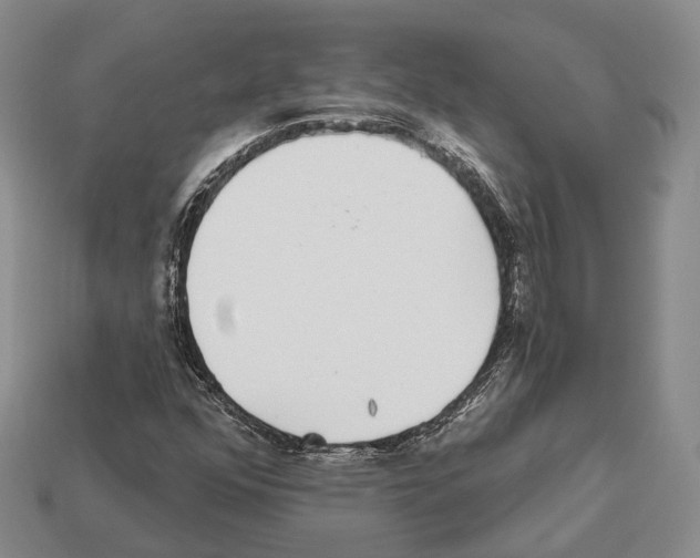 X0000112521352200909281008
