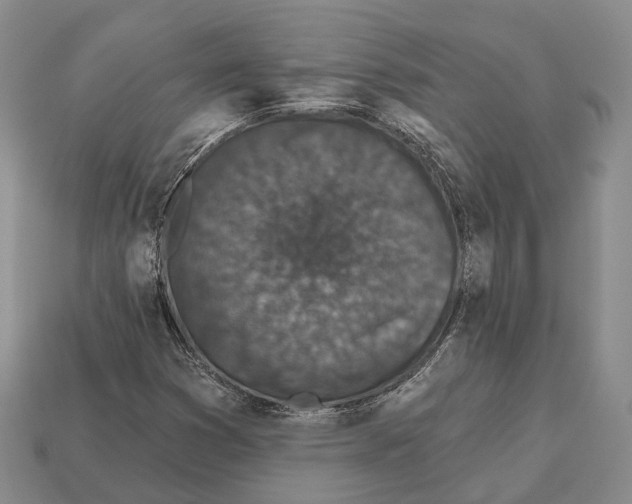 X0000112521353200909281008
