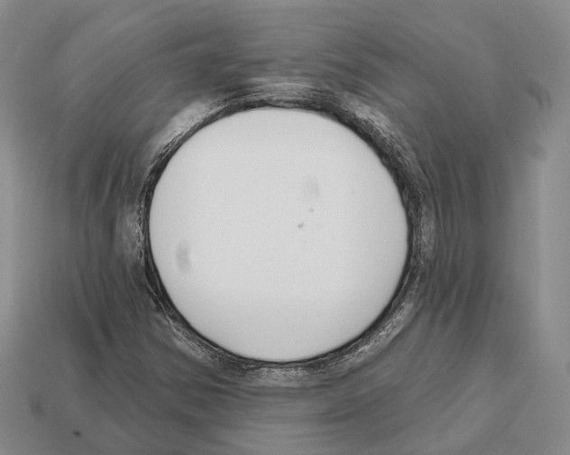 X0000112521354200909281008