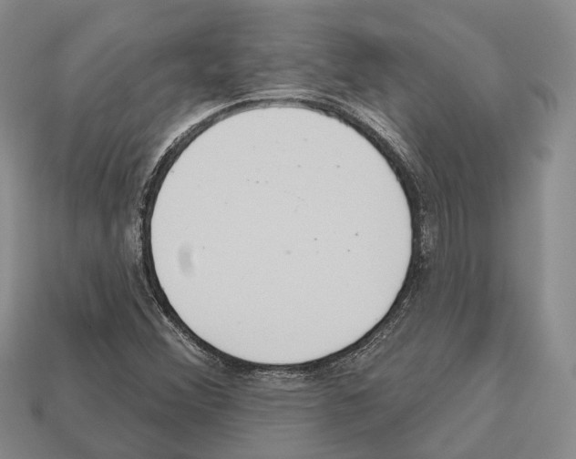 X0000112521356200909281008