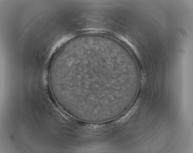 X0000112521357200909281008