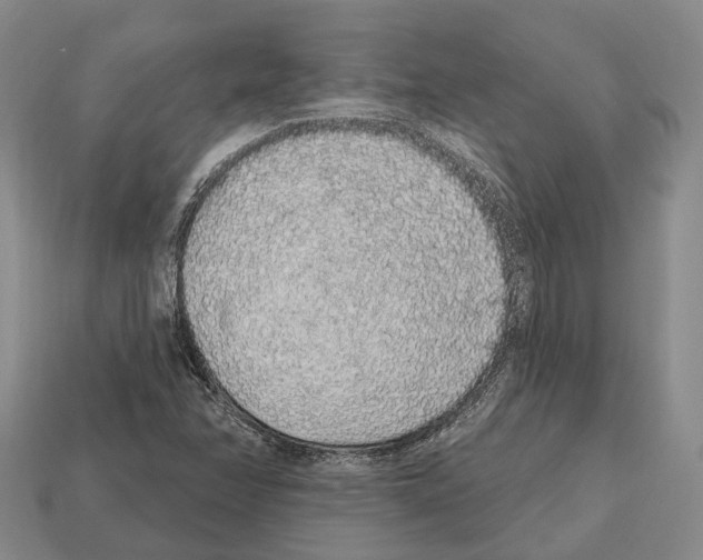 X0000112521358200909281008