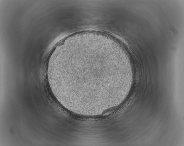 X0000112521359200909281008
