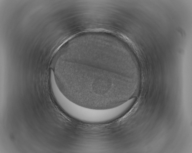 X0000112521361200909281008