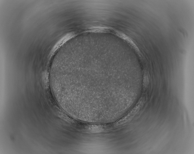 X0000112521362200909281008