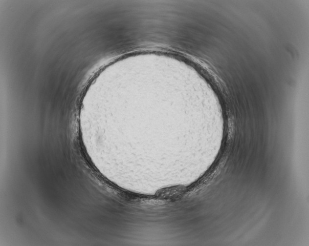 X0000112521363200909281008