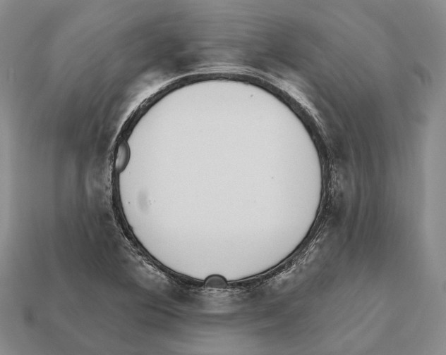 X0000112521364200909281008