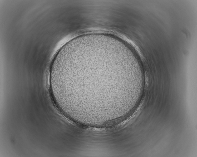 X0000112521365200909281008