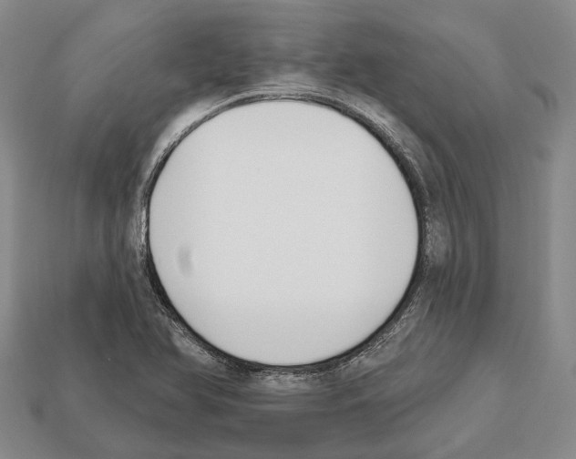 X0000112521366200909281008