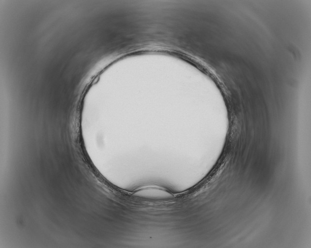 X0000112521367200909281008