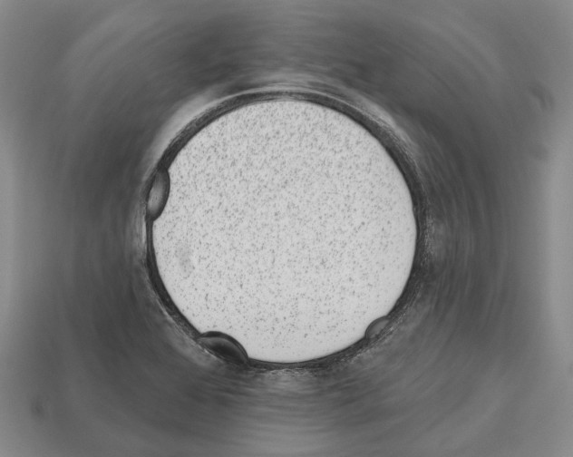 X0000112521368200909281008