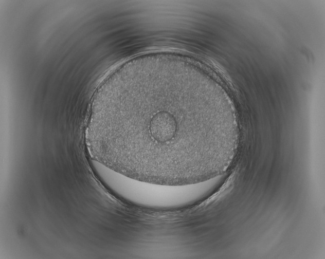 X0000112521369200909281008