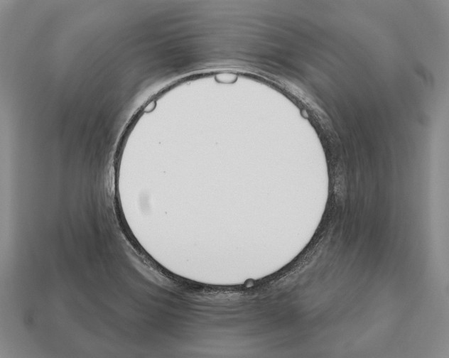 X0000112521372200909281008