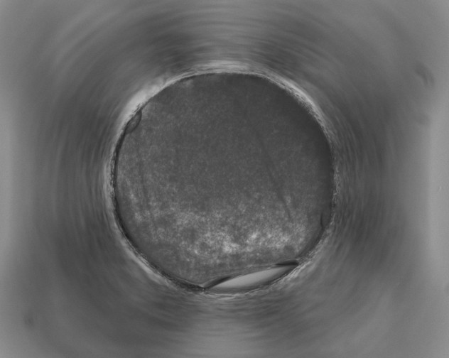 X0000112521373200909281008