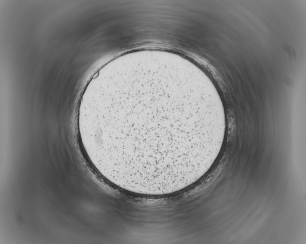 X0000112521375200909281008