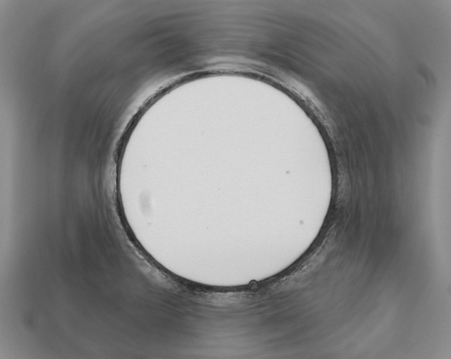 X0000112521376200909281008