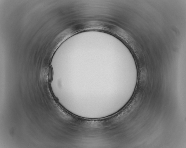 X0000112521377200909281008