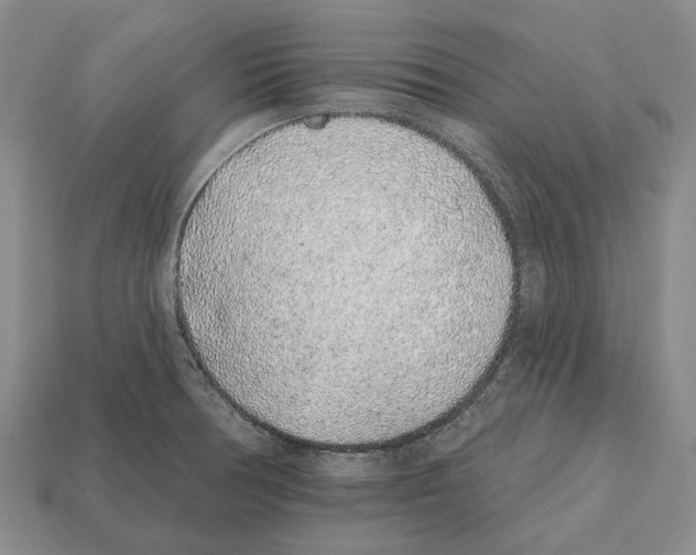 X0000112521378200909281008