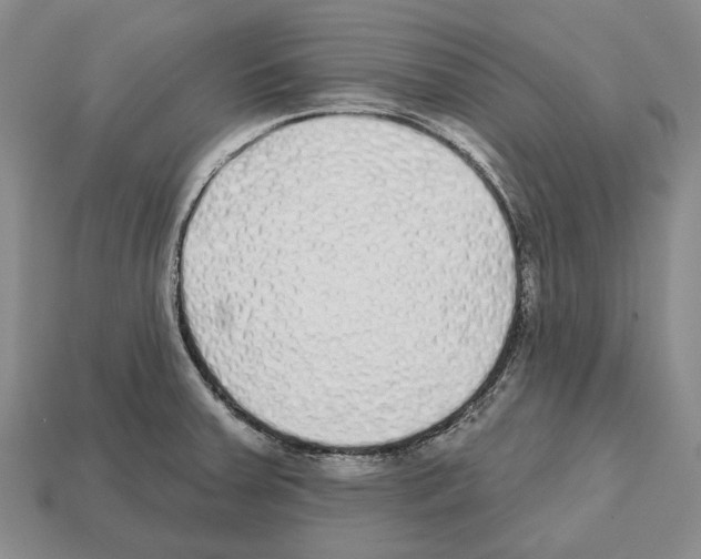 X0000112521379200909281008