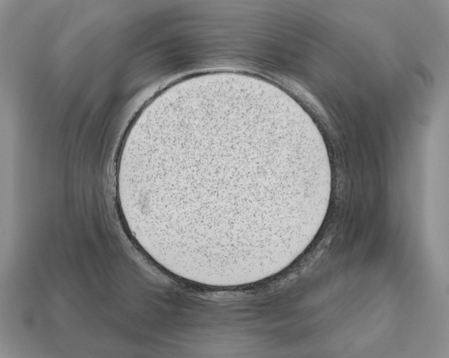 X0000112521380200909281008