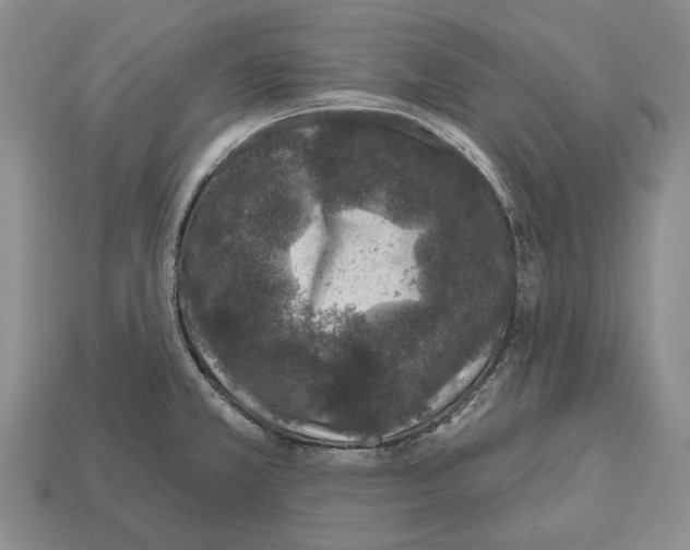 X0000112521381200909281008