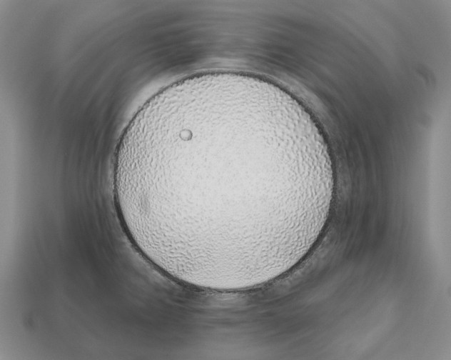 X0000112521382200909281008