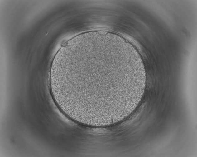 X0000112521383200909281008