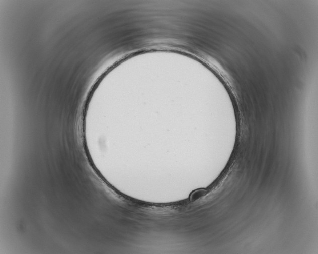 X0000112521384200909281008