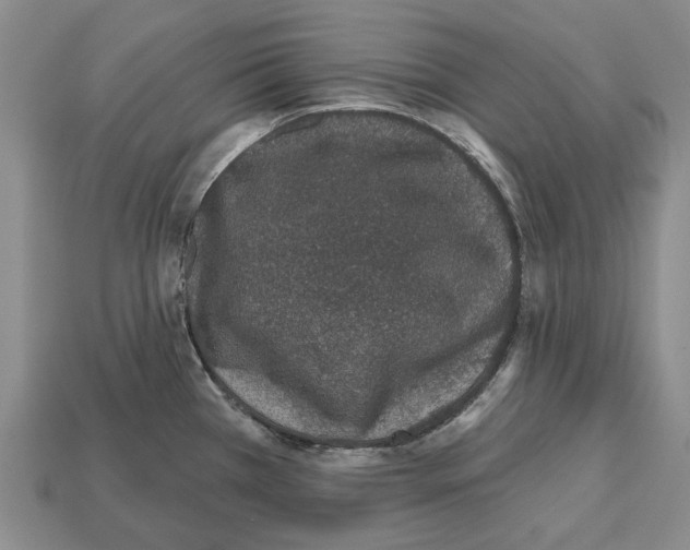 X0000112521385200909281008