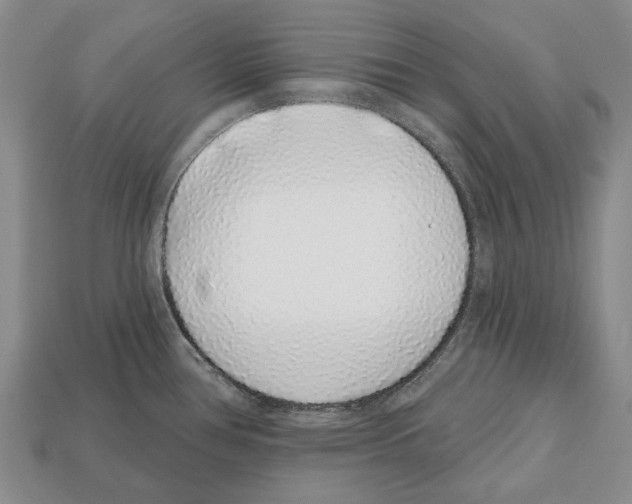 X0000112521386200909281008