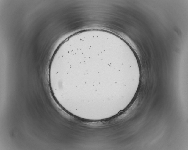 X0000112521388200909281008