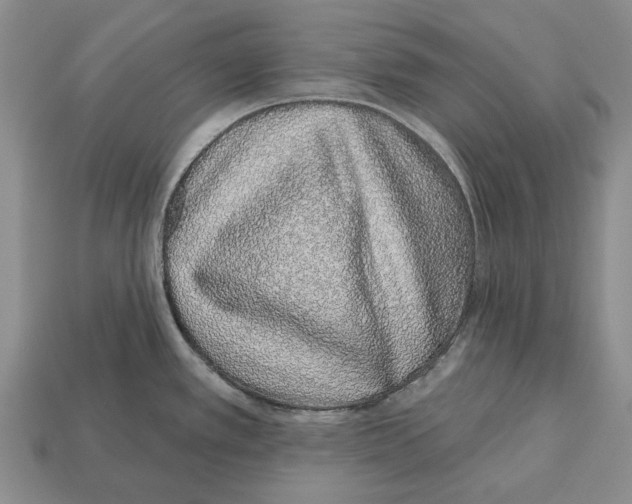 X0000112521389200909281008