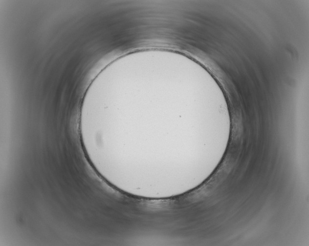 X0000112521390200909281008