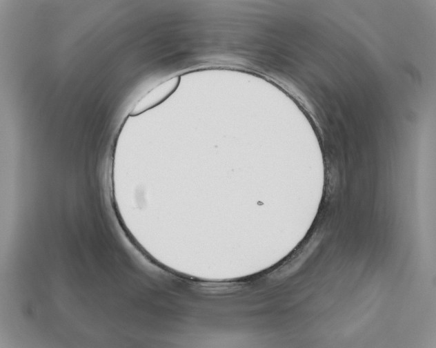X0000112521391200909281008