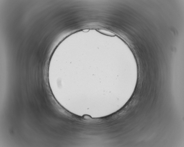 X0000112521392200909281008