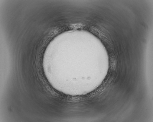 X0000112521393200909281007