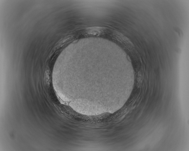 X0000112521394200909281007