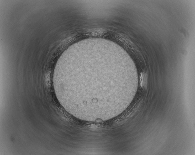 X0000112521395200909281007
