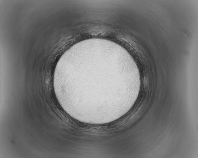 X0000112521396200909281007