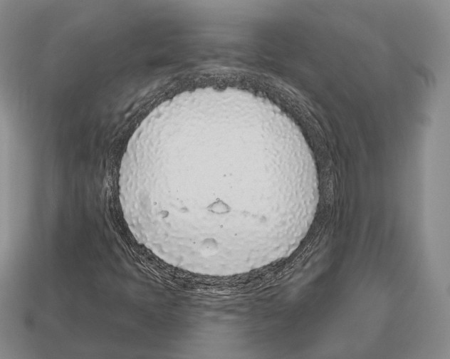 X0000112521397200909281007