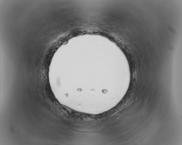 X0000112521398200909281007