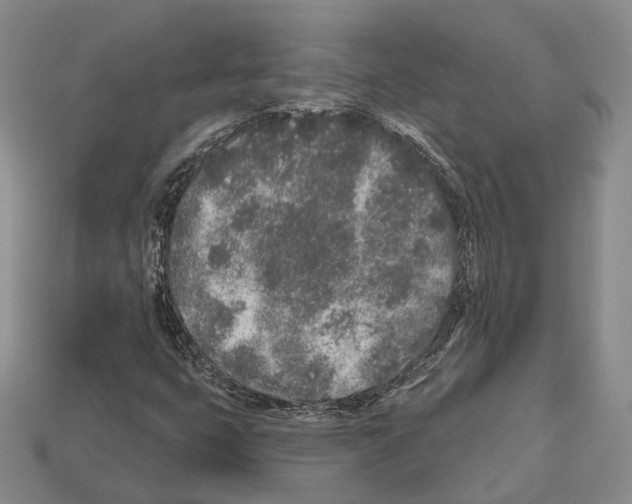 X0000112521399200909281007