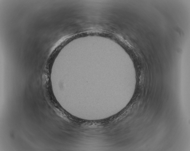 X0000112521400200909281007