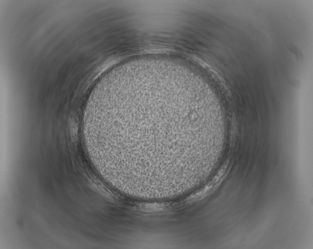 X0000112521401200909281007