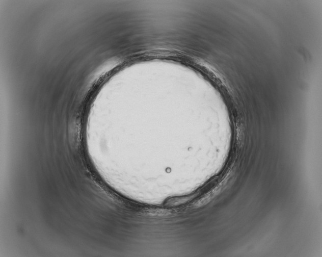 X0000112521402200909281007