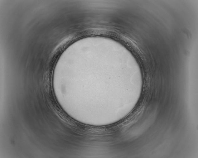 X0000112521403200909281007