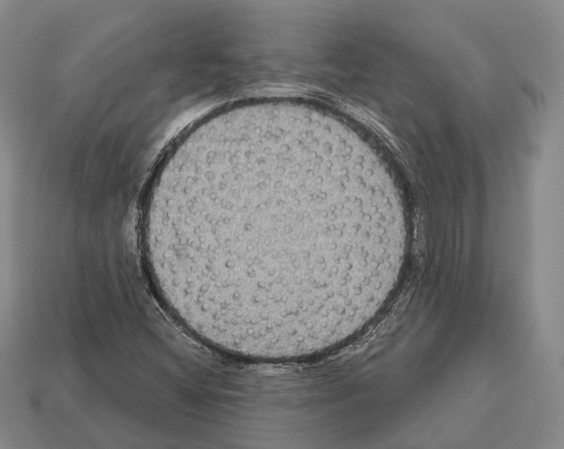 X0000112521404200909281007