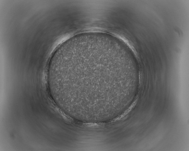 X0000112521405200909281007