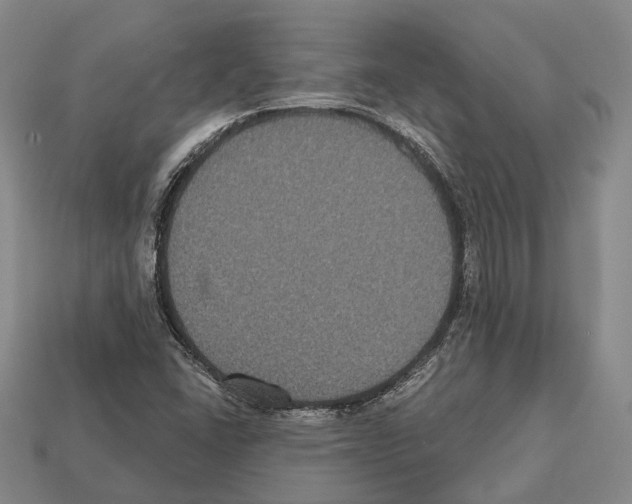 X0000112521406200909281007
